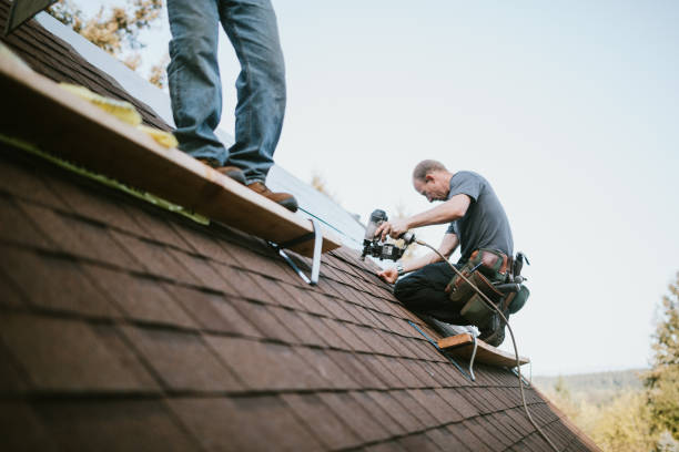 Best Roof Gutter Cleaning  in Troy, NC